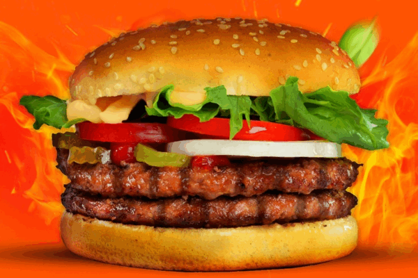 Bild 1 von Ois Burger