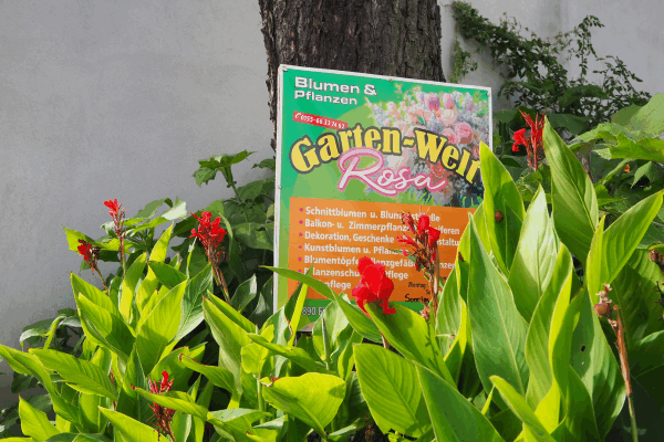 Bild 1 von Rosa Garten-Welt