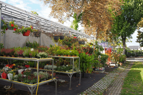 Bild 2 von Rosa Garten-Welt